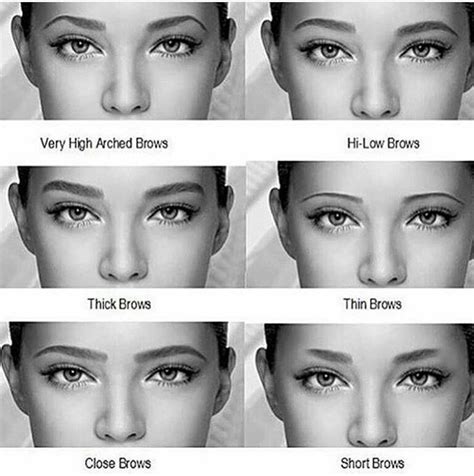 Pin by Tisha Prime on eyes | Types of eyebrows, Different eyebrow shapes, Eyebrow shape