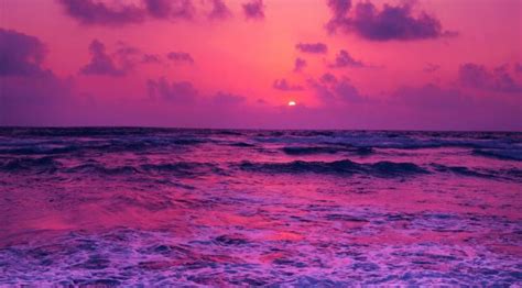 Horizon Pink Sunset Near Sea Wallpaper, HD Nature 4K Wallpapers, Images and Background ...