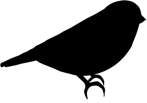 Simple Bird Outline - ClipArt Best