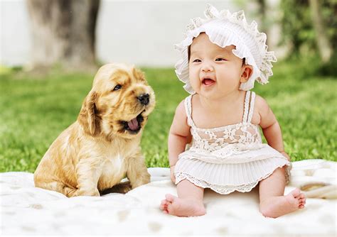 Kids and Dogs: Be Smart, Play Safe – Union Lake Pet Services