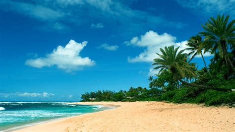 Hawaii Beach Wallpaper (58+ images)