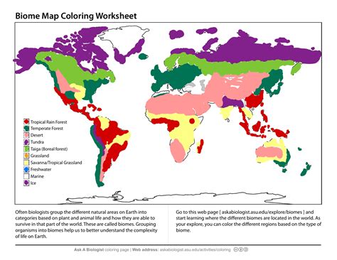 World Biome Map Coloring Worksheet - Abhayjere.com