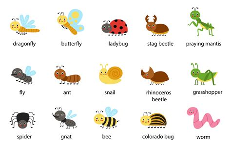 Set of cute cartoon insects with names Vector illustrations 2564939 Vector Art at Vecteezy