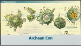 Life in Archean Eon on emaze