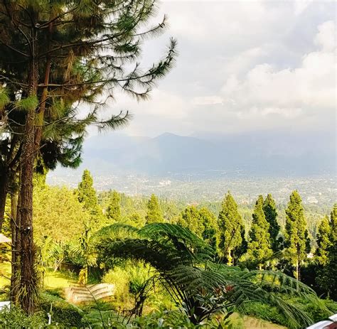 5 Villa di Puncak Bogor Dengan Pemandangan Alam