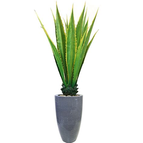 Foundry Select Indoor/Outdoor Agave Plant in Planter | Wayfair