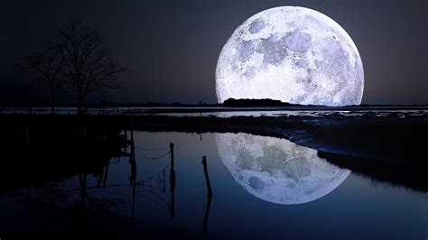 landscape, Lake, Trees, Night, Moon, Moonlight, Nature Wallpapers HD ...