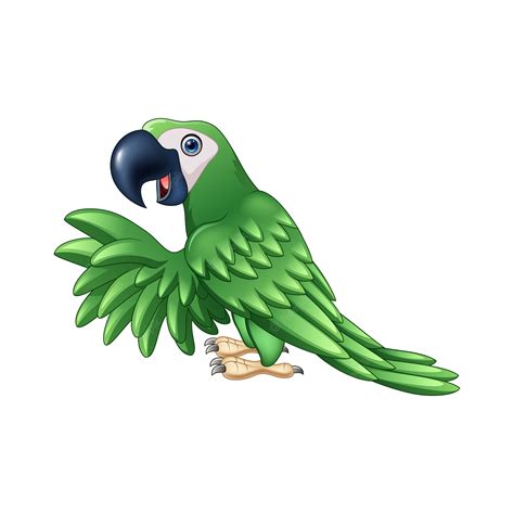 Premium Vector | Cartoon green parrot