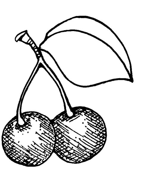 Cherry Clip Art Black And White - ClipArt Best