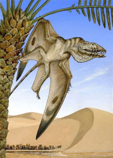 Scientists unearth oldest pterosaur ever -- perhaps the first flying vertebrate on Earth