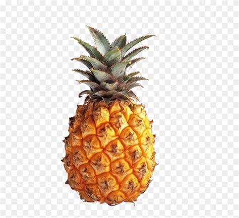 Pineapple Fibonacci