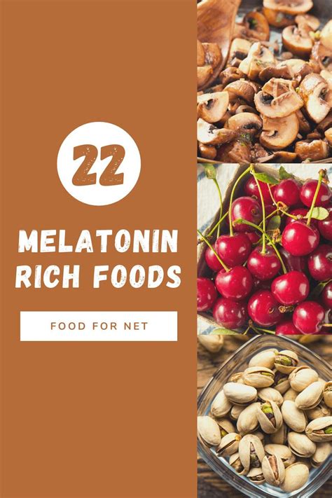 These foods all contain melatonin, which makes them perfect for helping to improve your sleep ...