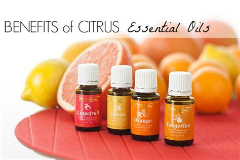 Benefits of Citrus Essential Oils - BargainBriana