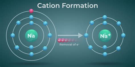 Cations and Anions - Difference between Cations and Anions