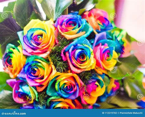 Roses Colored with the Colors of the Rainbow Stock Photo - Image of ...