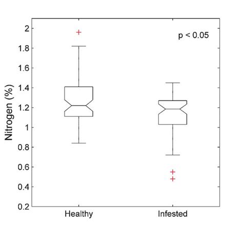 1: The generalised life cycle of the European spruce bark beetle and... | Download Scientific ...