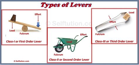 Types of Levers: First, Second & Third Order Examples » Selftution