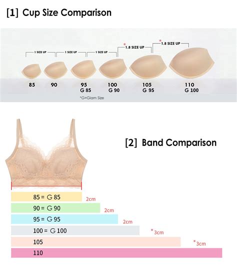 Size Chart 5mm Padded Bra (8 Different Bra Sizes)