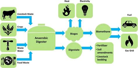 The Role of Biogas Digester in Sustainable Living