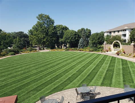 Lawn Striping and Lawn Patterns | Scag Power Equipment