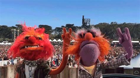 Animal-muppets GIFs - Find & Share on GIPHY