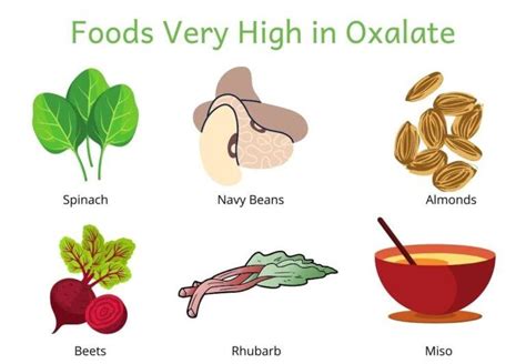 The Facts About Kidney Stones | Universal Health Products