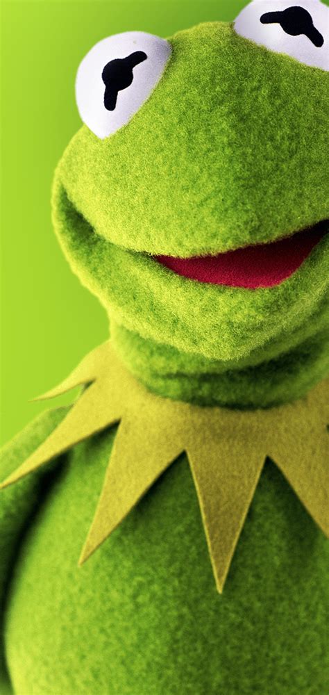 Kermit the Frog Wallpapers - Top Free Kermit the Frog Backgrounds - WallpaperAccess