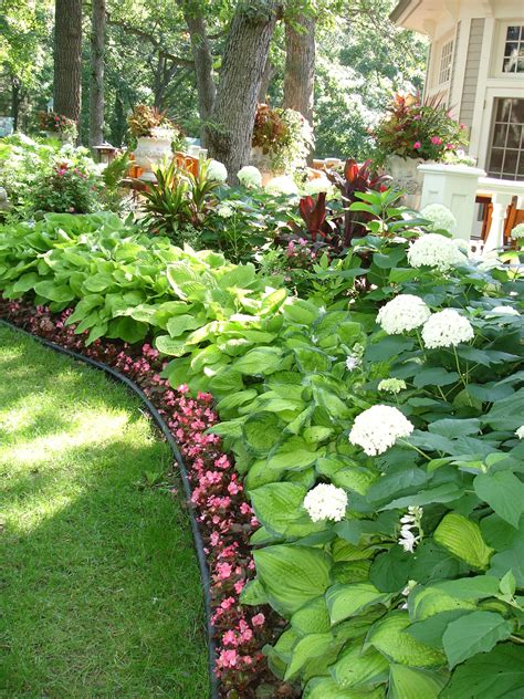 33 Annabelle hydrangea landscape design Trend in 2021 | In Design Pictures