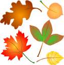 Fall Season Autumn Leaves Clip Art