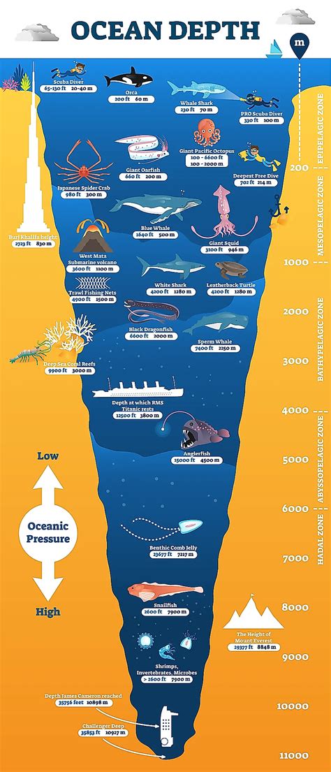 Ocean Zones Chart