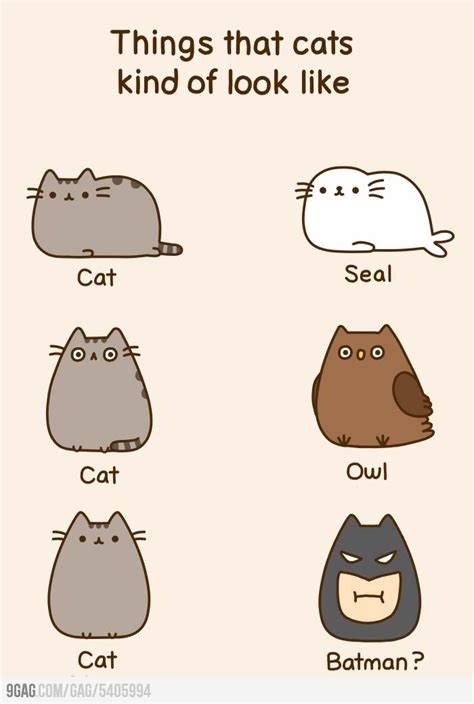 Pusheen the cat