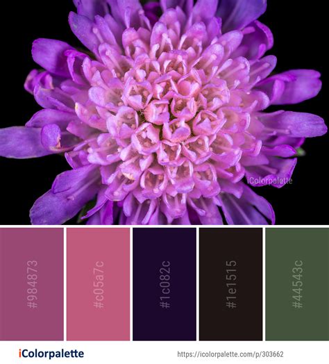 31 Purple Color Combinations | Curated collection of Color Palettes