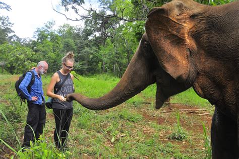 Mondulkiri Elephant Sanctuary - Vietnam Vacation