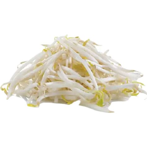 Bean Sprouts