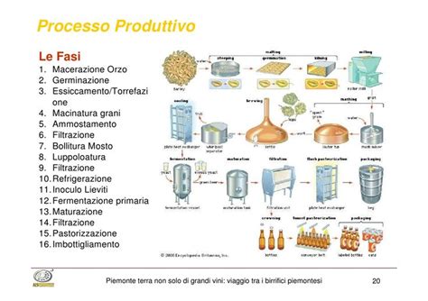 Pin on Produzione Birra