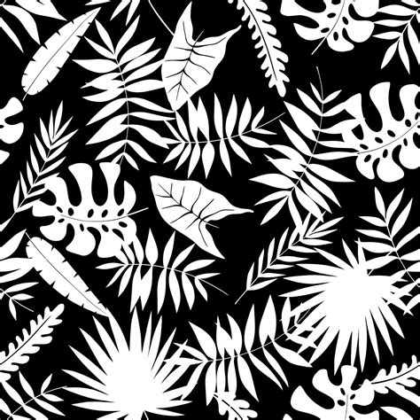 Seamless palm leaves black and white vector illustration 9002839 Vector ...