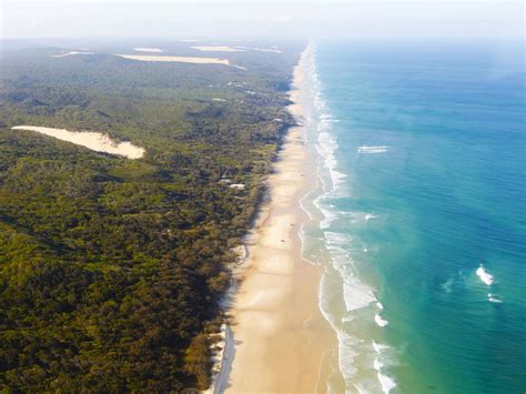 Fraser Island Dingo Conservation and Risk Management Strategy | K'gari ...