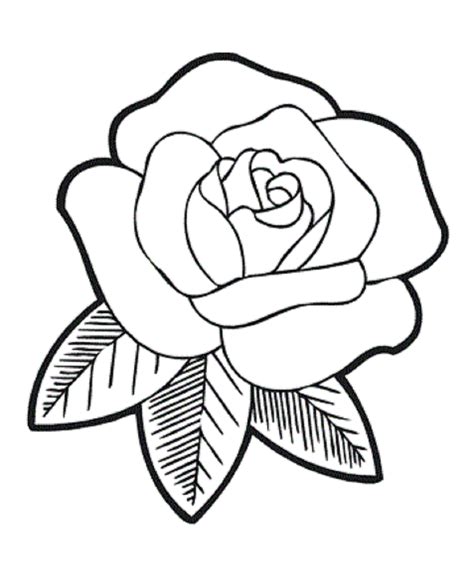 Rose Flower Coloring Pages - Flower Coloring Page