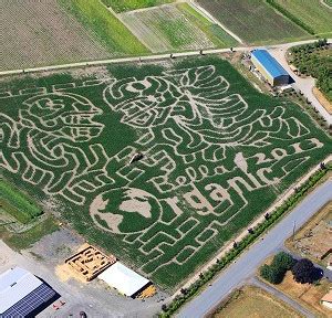 Haunted Corn Maze – Bella Organic Farms