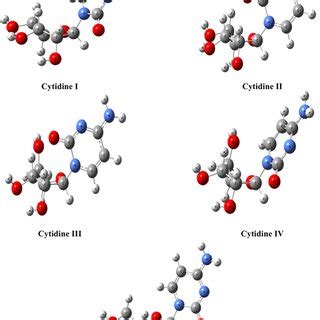 Optimized structure of different conformers of cytidine (I−V) obtained ...