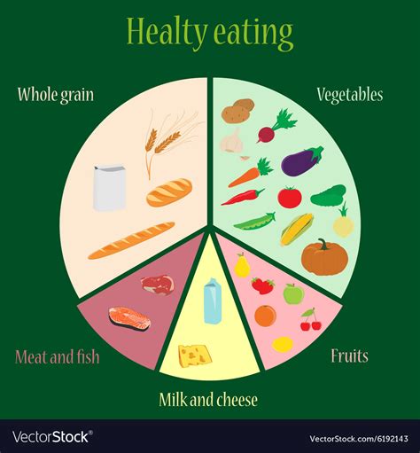 Healthy eating chart Royalty Free Vector Image