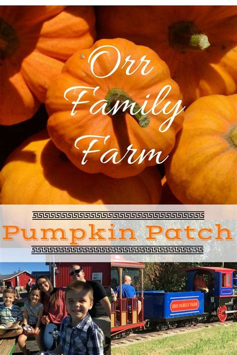 Orr Family Farm Pumpkin Patch Fun | Best pumpkin patches, Family farm, Pumpkin patch