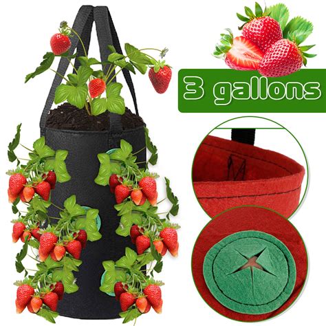 EIMELI Strawberry Grow Bags 3 Gallon Strawberry Planting Bags with 13 Grow Pouches Plant Growing ...