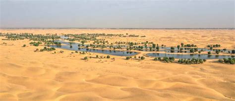 Top Oases in the UAE: Al Ain Oasis, Liwa Oasis & more – Bayut