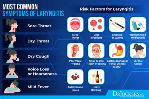 Laryngitis: Symptoms and Natural Support Strategies