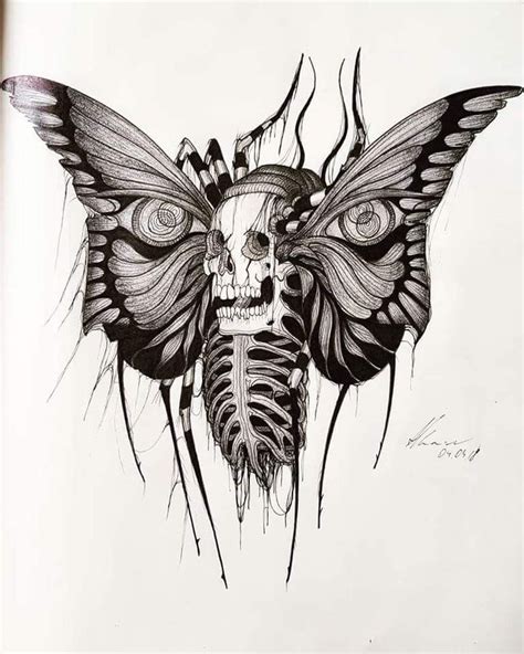 a drawing of a butterfly with a skull on it's back