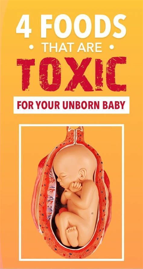 4 Foods That Are Toxic For Your Unborn Baby - Healthy Lifestyle