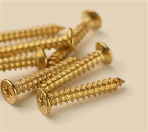 Brass Fasteners – Pramukh Products