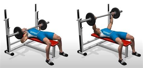 Flat Barbell Bench Press | 10 MOST IMPORTANT MIDDLE CHEST EXERCISES ...