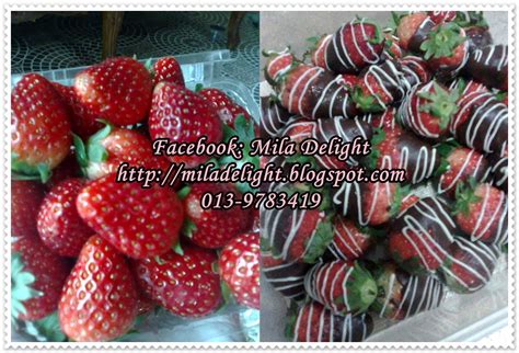 MiLa DeLiGht ::..: Strawberi Coklat - Nurul Dungun